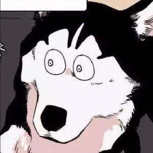 Meet your Posher, Charlotte